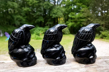 Obsidian Crows on Skulls