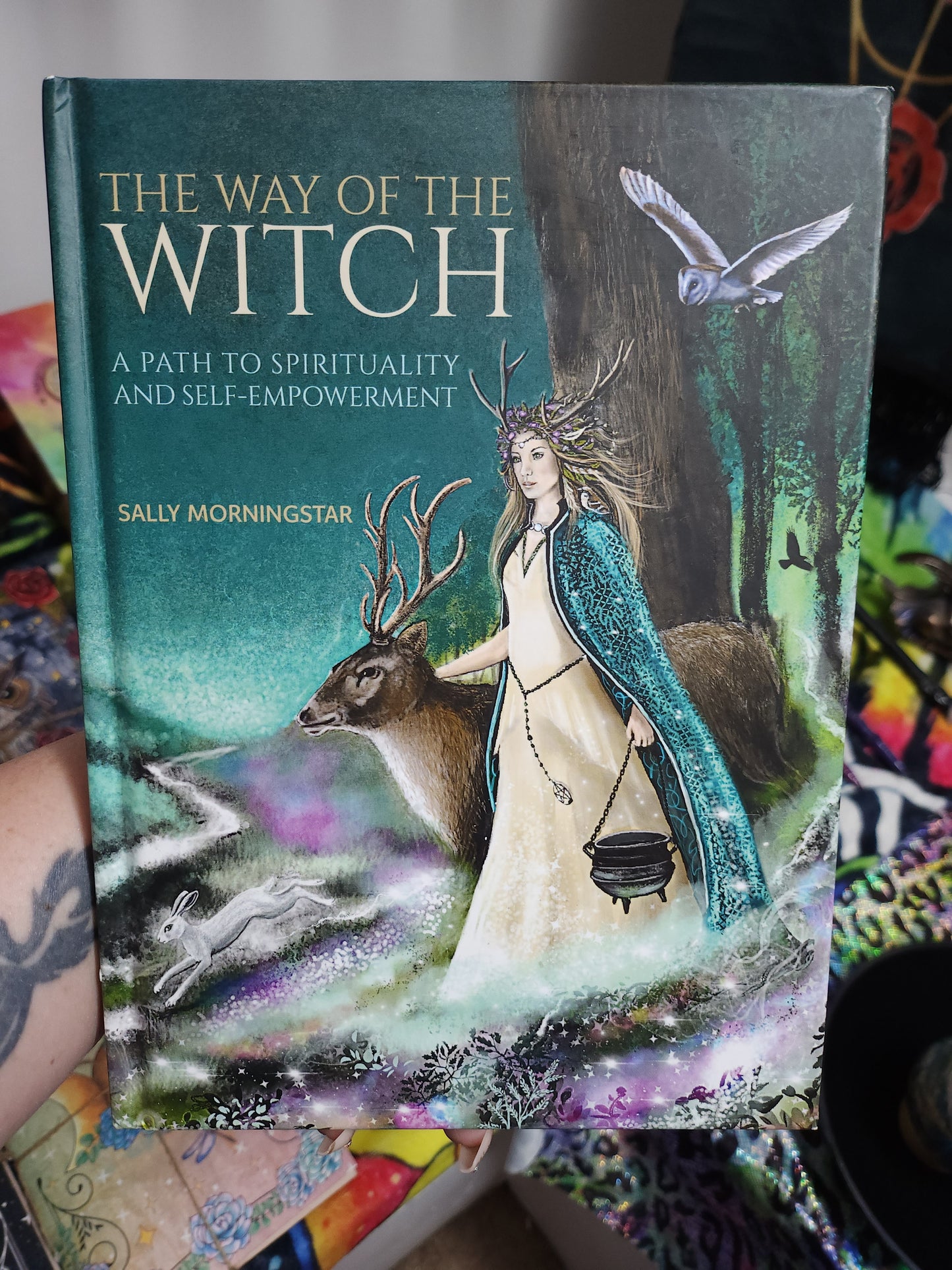 Witchy Book Collection