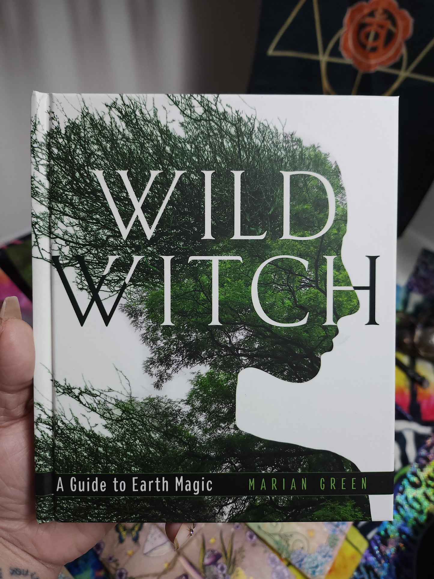 Witchy Book Collection