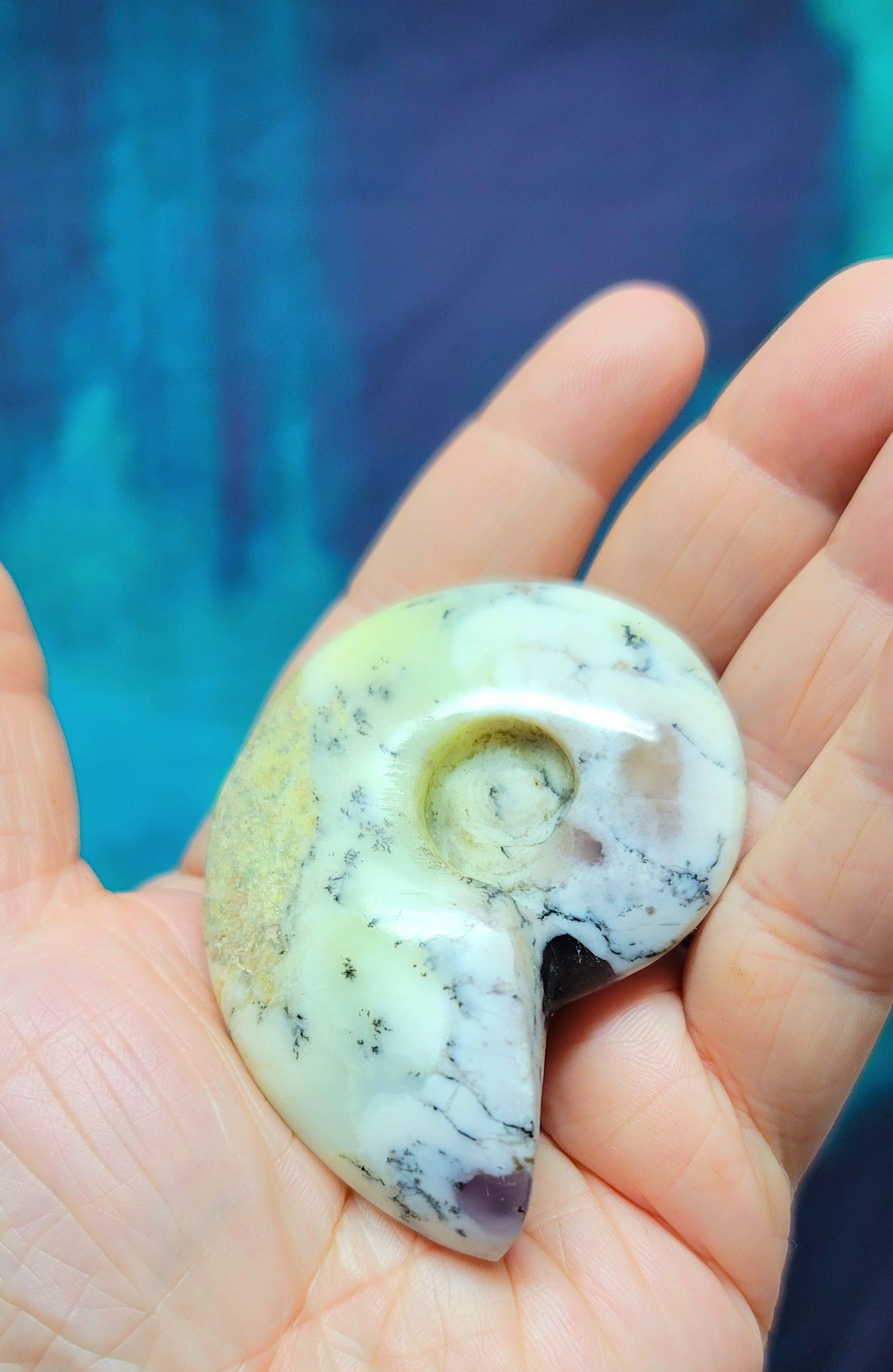 Dendritic Opal Agate Ammonite Carving